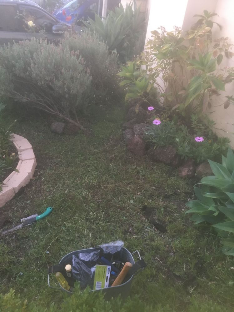 IMG_2389.JPG IMG_2389.JPG