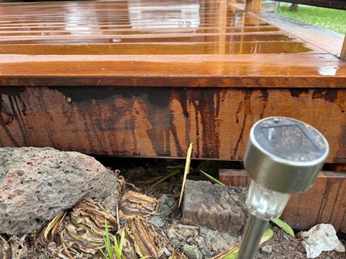 IMG_1134.jpeg IMG_1134.jpeg