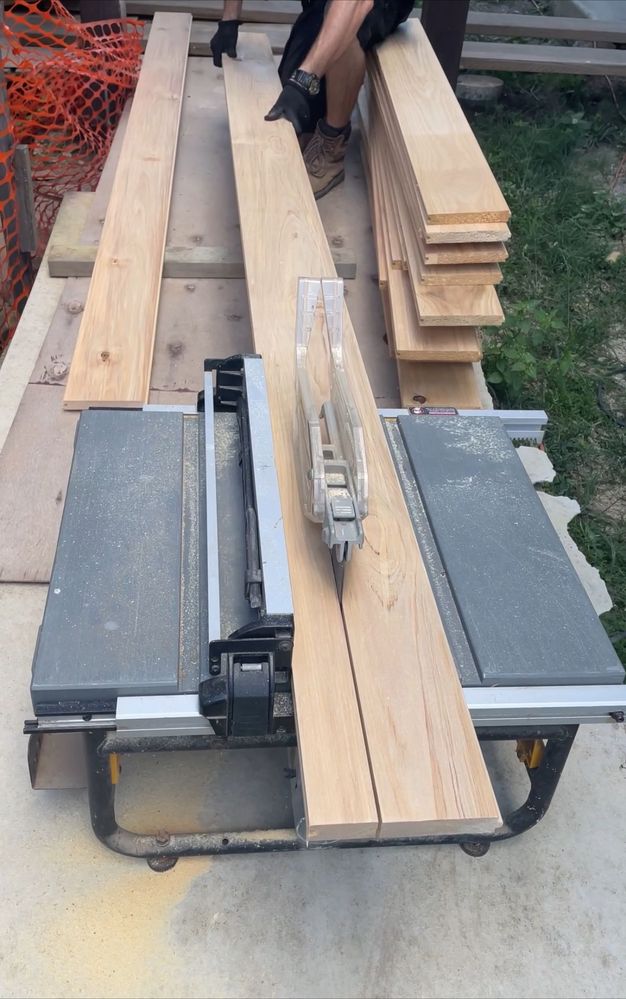 IMG_4350.jpg IMG_4350.jpg