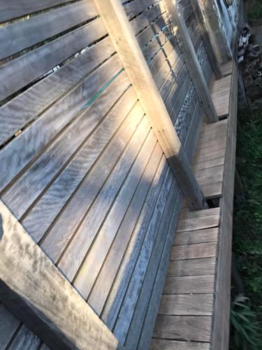 27 26-11-2023.jpg 27 26-11-2023.jpg