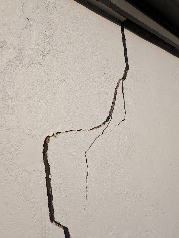 PXL_20240227_072040601.jpg PXL_20240227_072040601.jpg