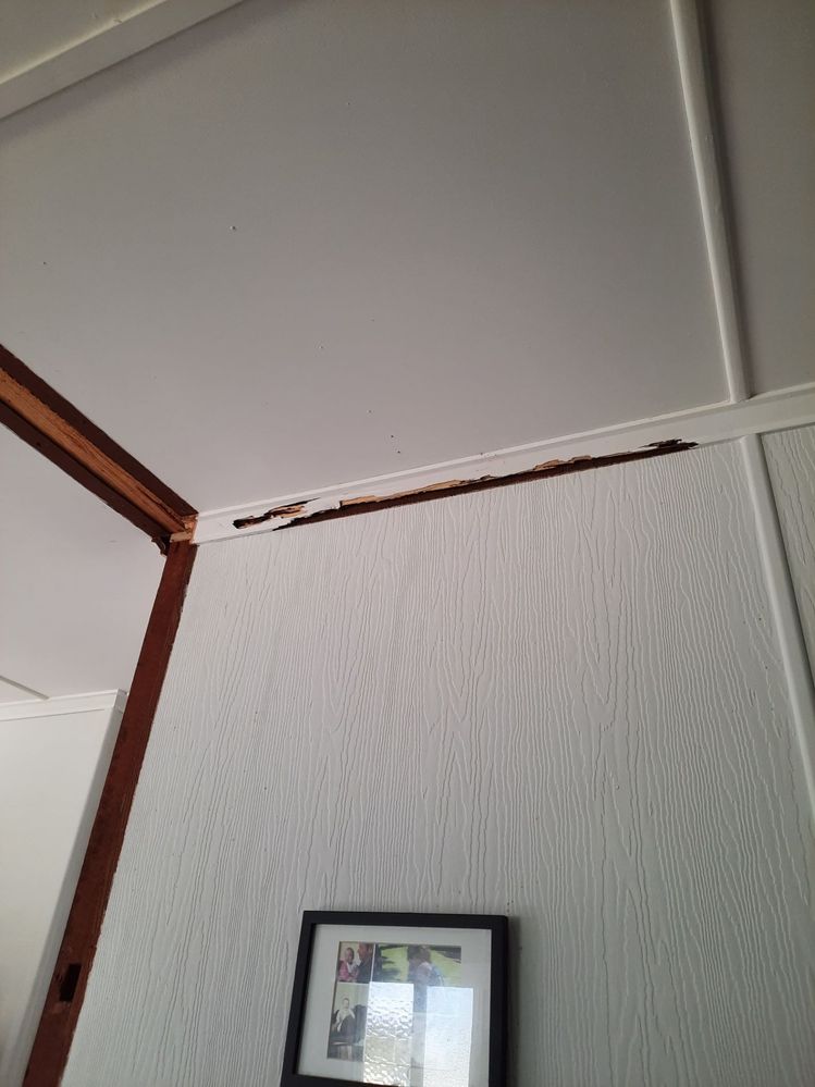 20241030_075825.jpg 20241030_075825.jpg