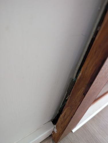 1000004165.jpg 1000004165.jpg