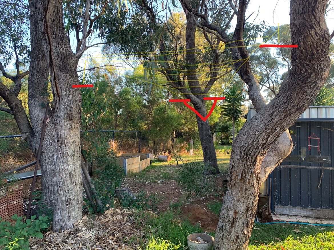 InkedIMG_9985_LI.jpg InkedIMG_9985_LI.jpg