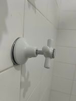 IMG_0556.jpeg IMG_0556.jpeg