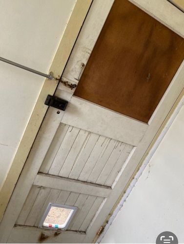 IMG_2905.jpeg IMG_2905.jpeg