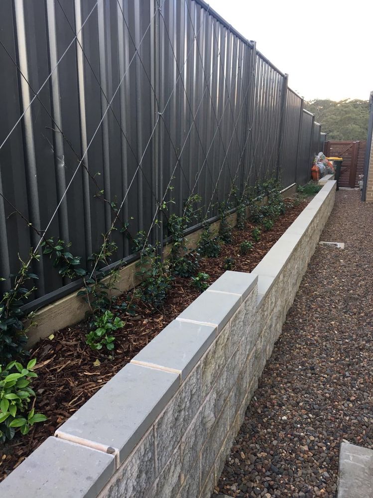 40112F15-A739-4AD2-9EF0-686AA158A3BB.jpeg 40112F15-A739-4AD2-9EF0-686AA158A3BB.jpeg