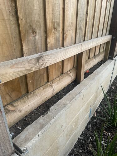 IMG_1534.jpeg IMG_1534.jpeg