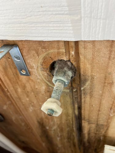 IMG_3291.jpeg IMG_3291.jpeg