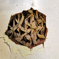 2.3 Edges cleaned up.png 2.3 Edges cleaned up.png