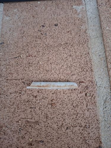 1000002932.jpg 1000002932.jpg