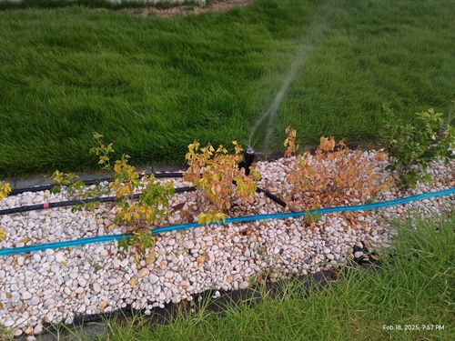 1000094871.jpg 1000094871.jpg