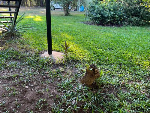 IMG_7709.jpeg IMG_7709.jpeg