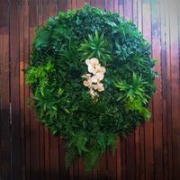 10.4 Finished green wall.jpg 10.4 Finished green wall.jpg