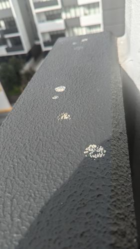 1000002506.jpg 1000002506.jpg