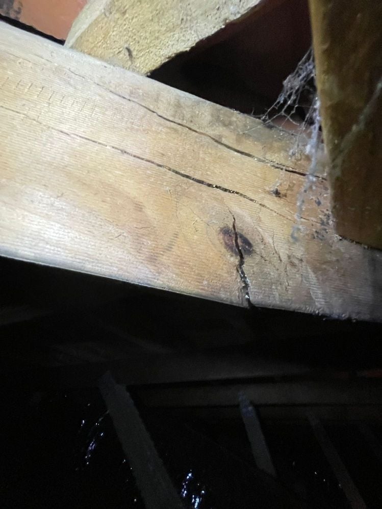 IMG_6882.jpg IMG_6882.jpg