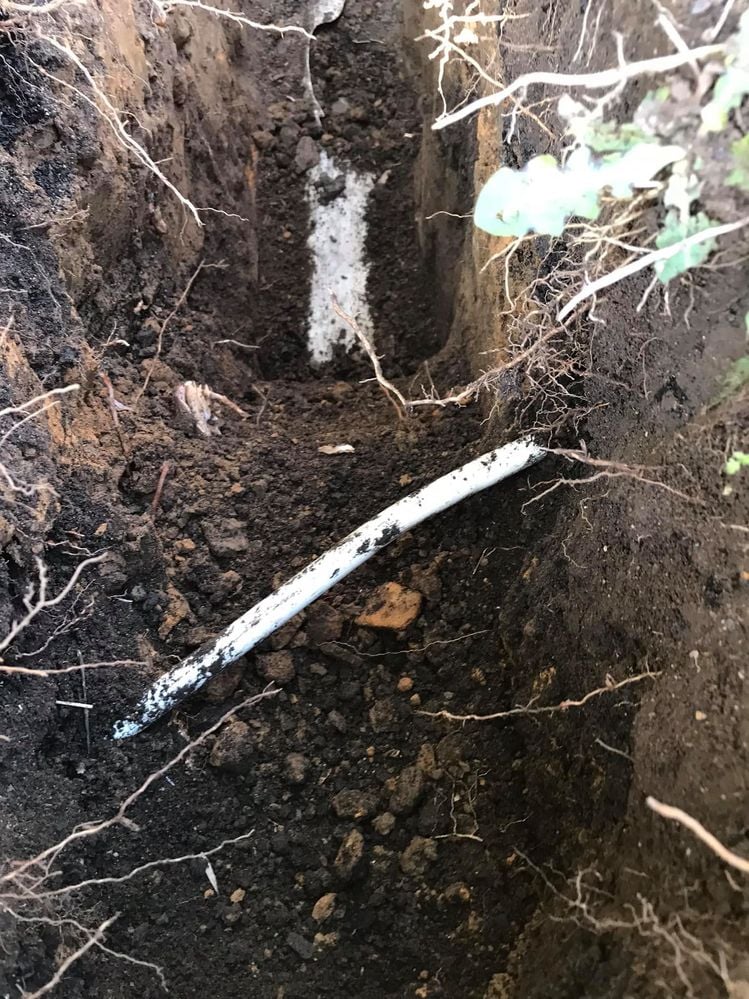 17 07-09-2021.jpg 17 07-09-2021.jpg