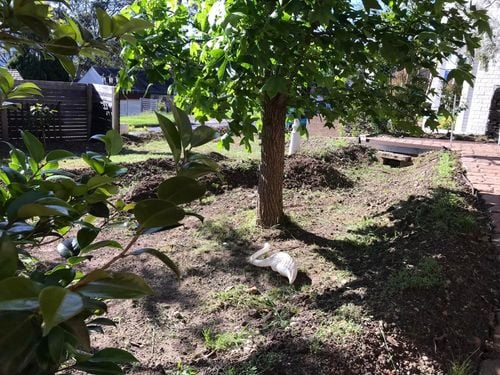 114 29-10-2022.jpg 114 29-10-2022.jpg