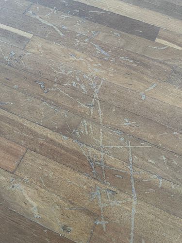 IMG_6009.jpeg IMG_6009.jpeg