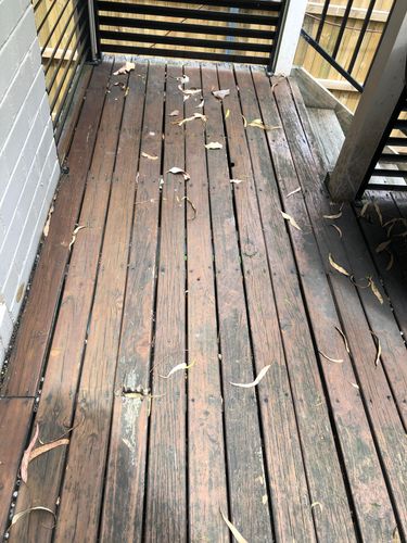 A75C120C-8F11-42EA-A58A-2C0DF13E0F40.jpeg A75C120C-8F11-42EA-A58A-2C0DF13E0F40.jpeg