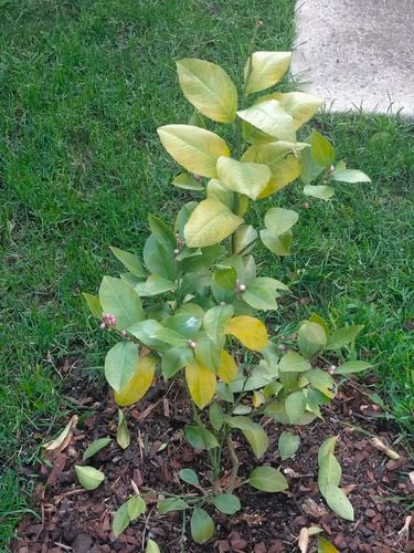 IMG20241020191405.jpg IMG20241020191405.jpg