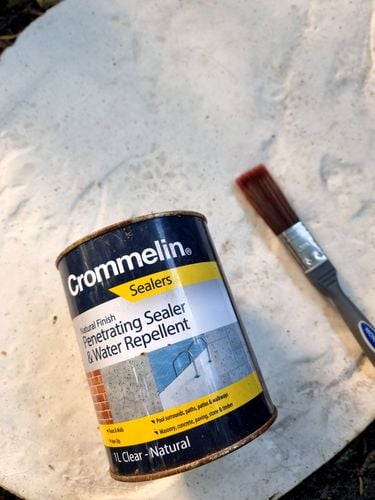 1000019219.jpg 1000019219.jpg