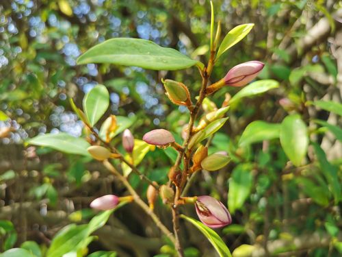 IMG_20240909_111941.jpg IMG_20240909_111941.jpg