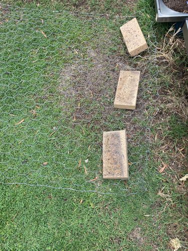 9B1F8DE6-72A8-42B4-BE30-2B79FD8212B8.jpeg 9B1F8DE6-72A8-42B4-BE30-2B79FD8212B8.jpeg