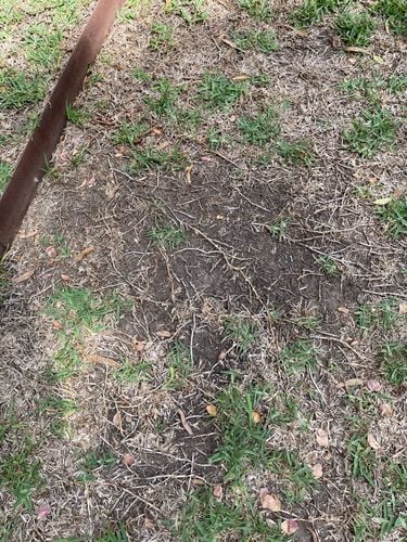 IMG_7450.jpeg IMG_7450.jpeg