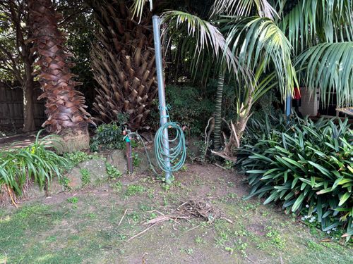 IMG_0536.jpeg IMG_0536.jpeg