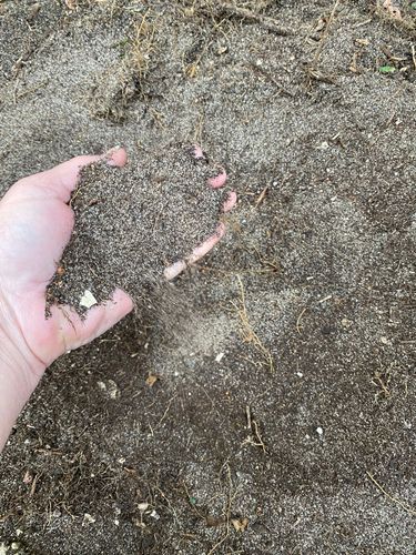 IMG_0728.jpeg IMG_0728.jpeg