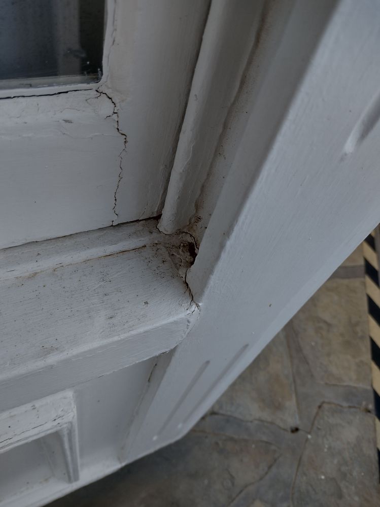 IMG_20231201_080937345_HDR.jpg IMG_20231201_080937345_HDR.jpg