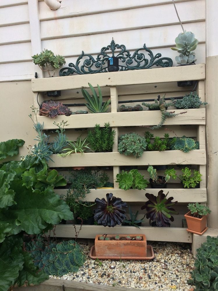 IMG_3133.JPG IMG_3133.JPG