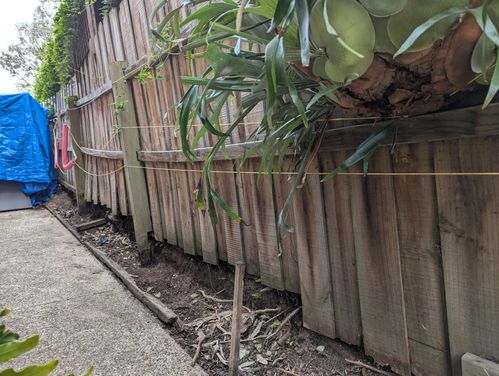 1000016690.jpg 1000016690.jpg