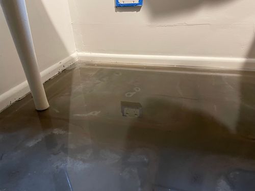 IMG_0678.jpeg IMG_0678.jpeg