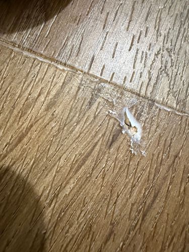 IMG_6780.jpeg IMG_6780.jpeg