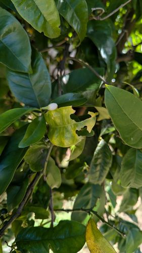 1000044090.jpg 1000044090.jpg