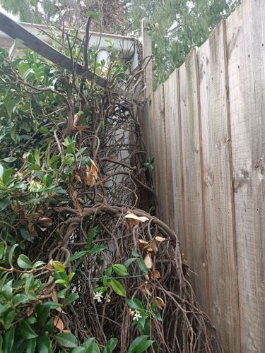 IMG20260131170031.jpg IMG20260131170031.jpg