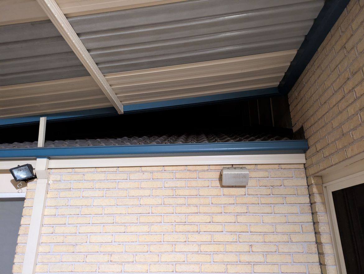 PXL_20250825_124656301.jpg PXL_20250825_124656301.jpg