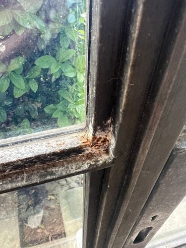 IMG_4212.jpeg IMG_4212.jpeg