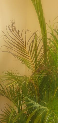 20240102_083752.jpg 20240102_083752.jpg