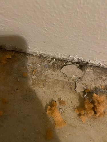 80BFBE85-136C-427D-9D67-B5D1CBC66397.jpeg 80BFBE85-136C-427D-9D67-B5D1CBC66397.jpeg