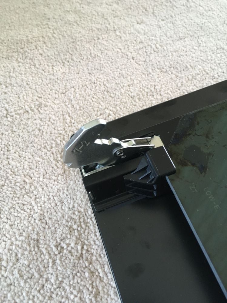 IMG_6234.jpeg IMG_6234.jpeg