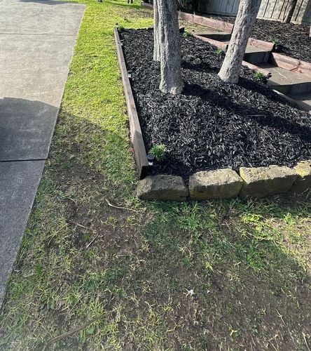 IMG_2444.jpeg IMG_2444.jpeg