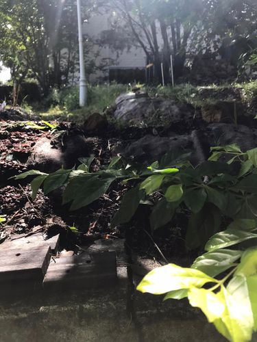 08 06-04-2024.jpg 08 06-04-2024.jpg