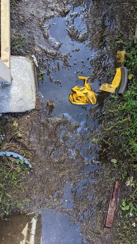 PXL_20220411_041307905.jpg PXL_20220411_041307905.jpg