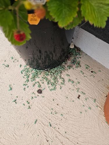 1000032297.jpg 1000032297.jpg