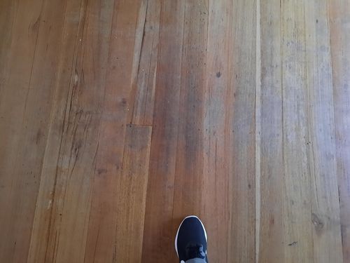 20230611_160844.jpg 20230611_160844.jpg