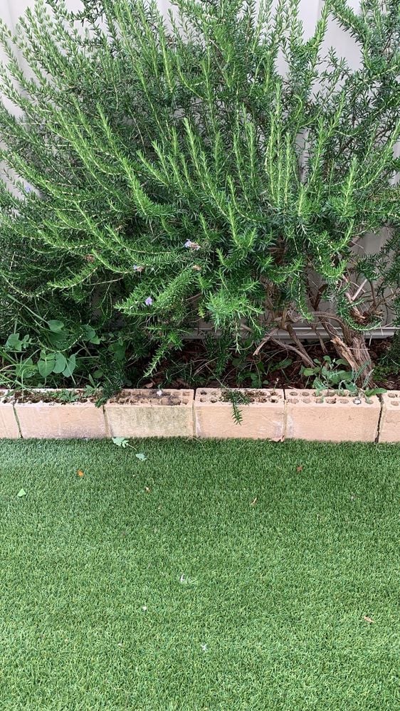 61fa28c3-0028-412a-b63c-b859ac033cb6.jpeg 61fa28c3-0028-412a-b63c-b859ac033cb6.jpeg