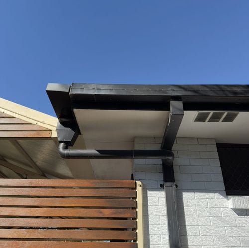 IMG_2508.jpeg IMG_2508.jpeg